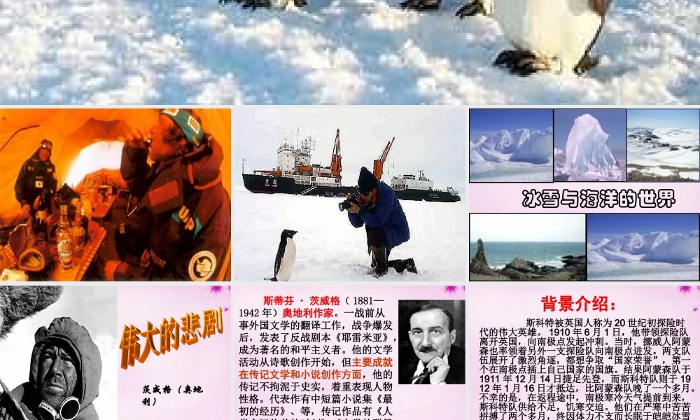 七年级语文下册 第21课(伟大的悲剧)课件 新人教版 课件