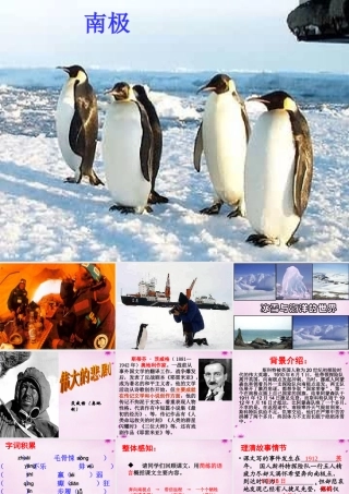 七年级语文下册 第21课(伟大的悲剧)课件 新人教版 课件