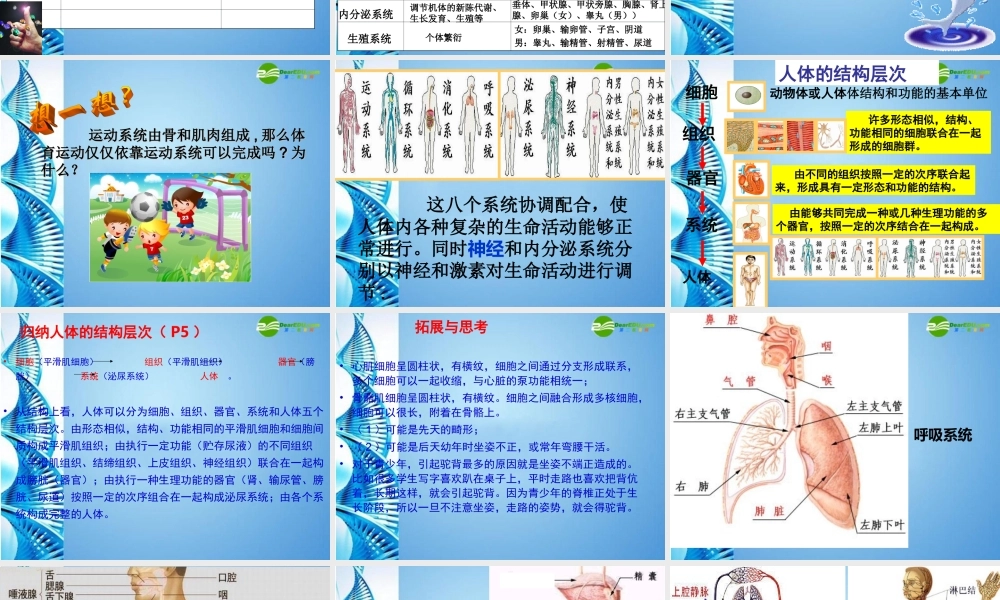 八年级生物 第一学期(试验本)第1章第一节 人体是怎样构成的 (第三课时)课件 上海版 课件