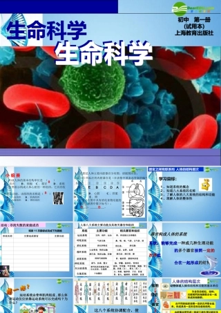 八年级生物 第一学期(试验本)第1章第一节 人体是怎样构成的 (第三课时)课件 上海版 课件