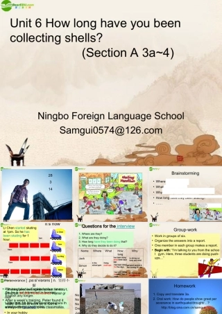 八年级英语下册 Unit 6 How long have you been collecting shells(1)课件 人教新目标版 课件