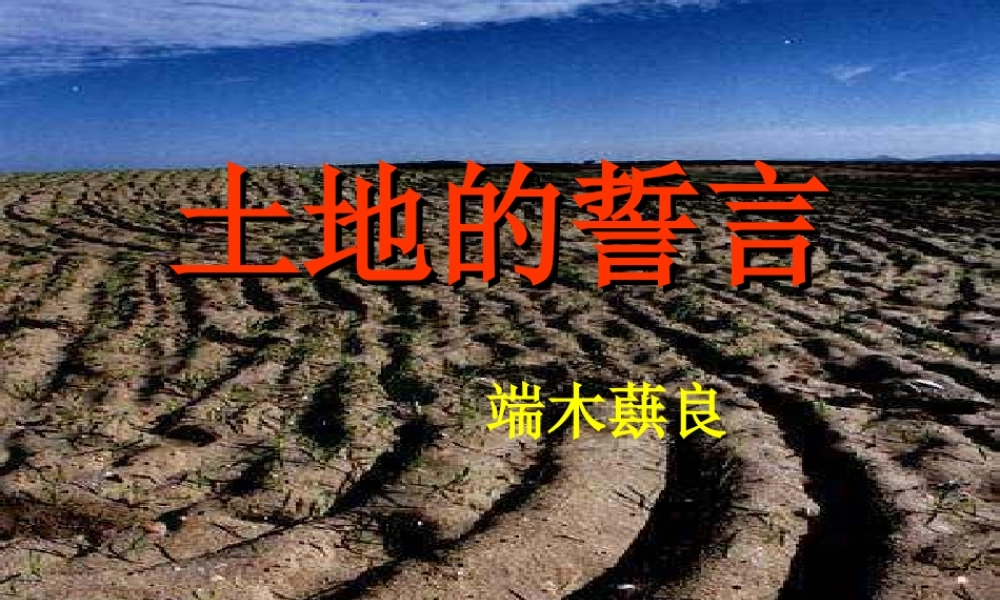 中学七年级语文下册(土地的誓言)课件 新人教版