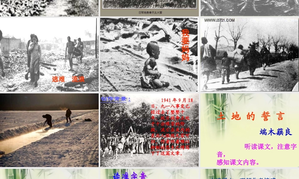 中学七年级语文下册(土地的誓言)课件 新人教版