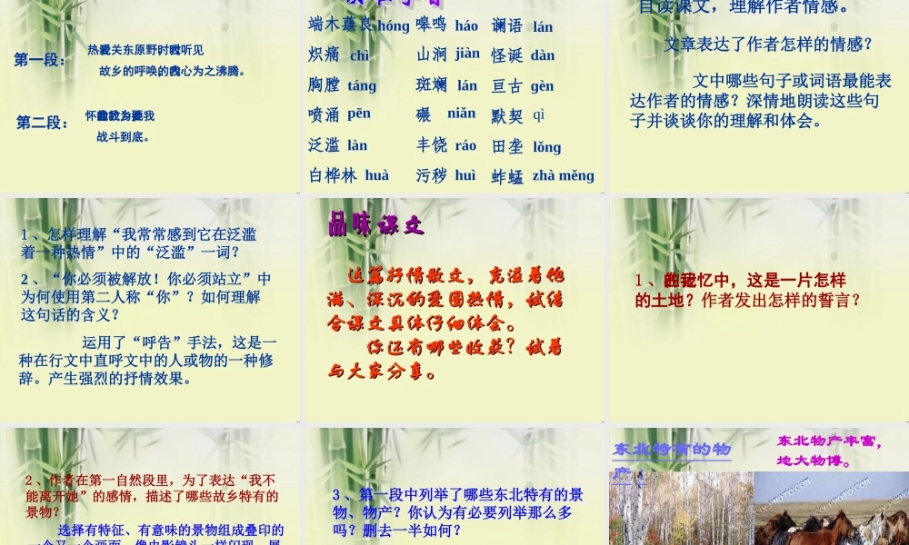 中学七年级语文下册(土地的誓言)课件 新人教版