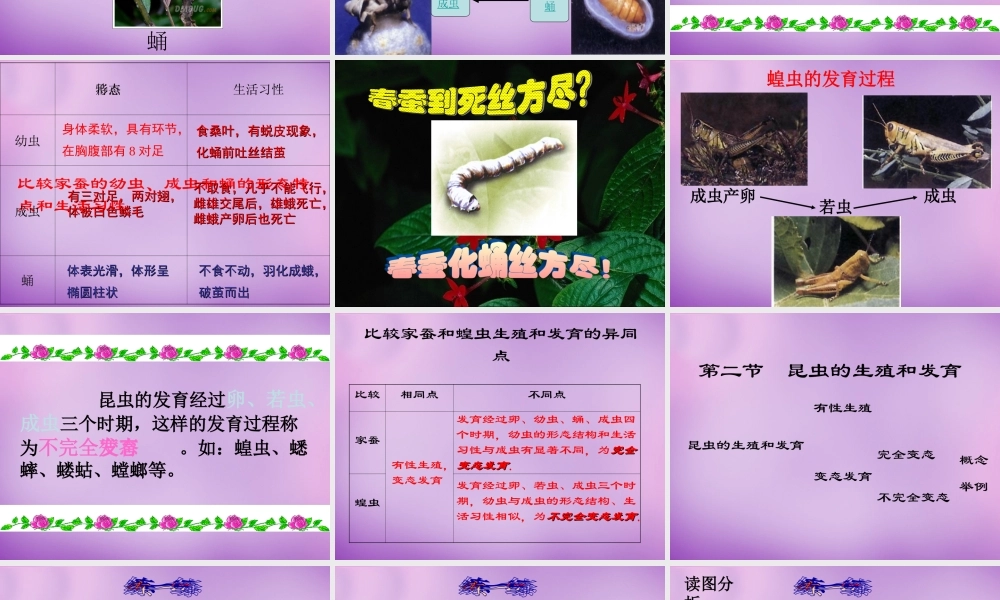 中学八年级生物下册 第七单元 第一章 第二节 昆虫的生殖和发育课件 新人教版 课件