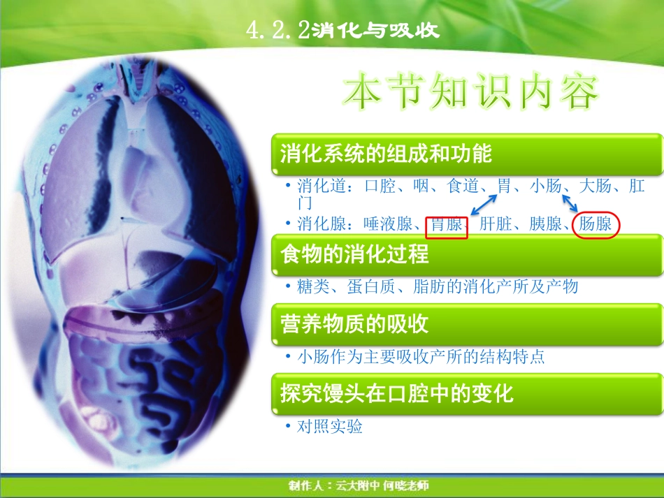七年级生物下册 消化和吸收课件(pdf) 新人教版 课件_第3页