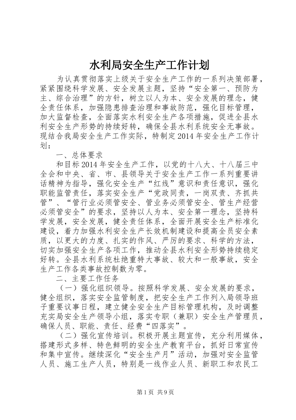 水利局安全生产工作计划_第1页