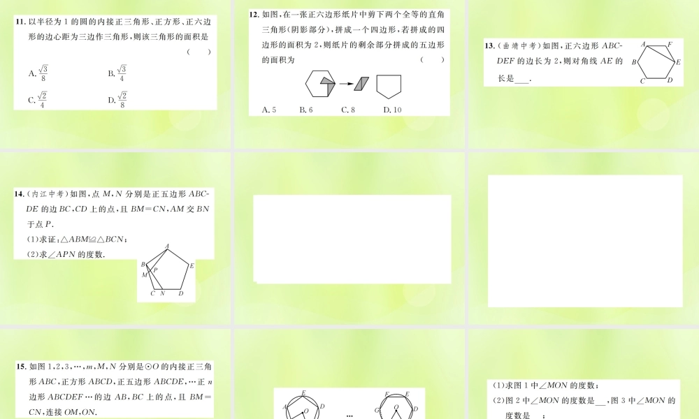 九年级数学上册 第二十四章 圆 241 圆的有关性质 243 正多边形和圆课件 (新版)新人教版 课件