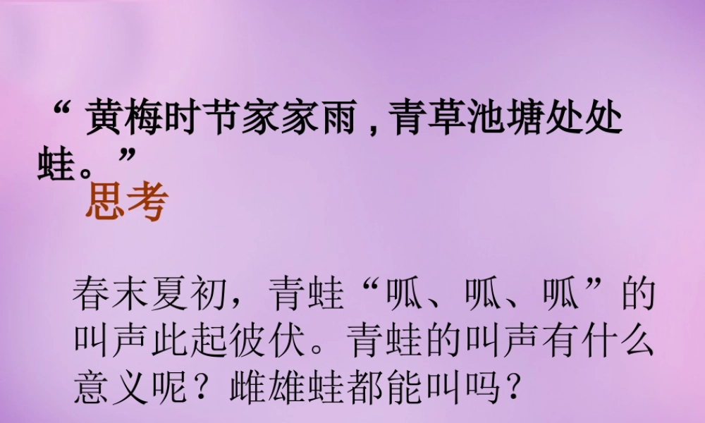 八年级生物下册 第七单元 第一章 第三节 两栖动物的生殖和发育课件 新人教版 课件