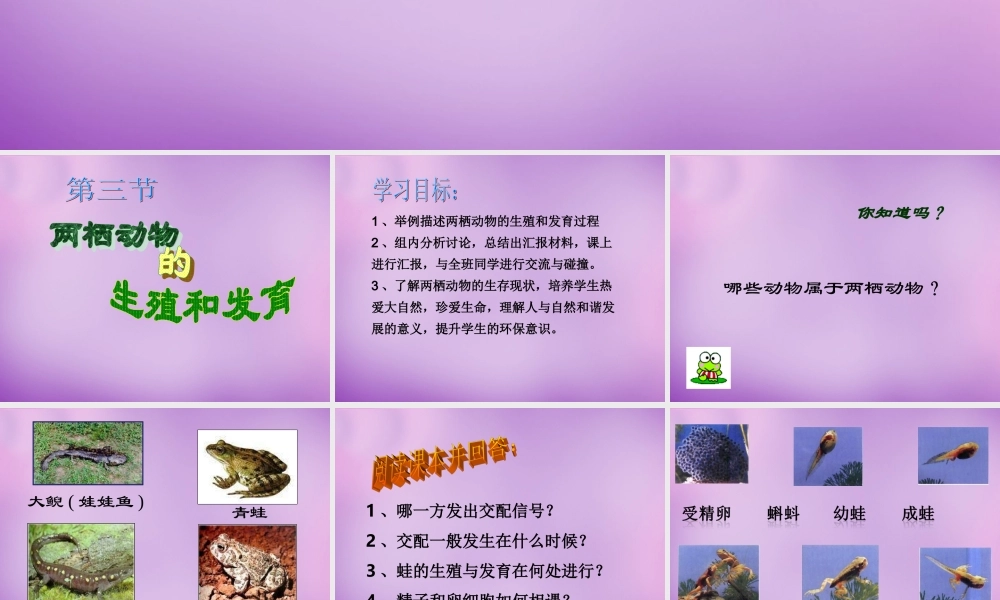八年级生物下册 第七单元 第一章 第三节 两栖动物的生殖和发育课件 新人教版 课件