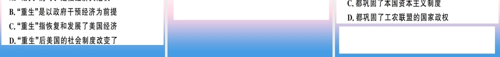 九年级历史下册 第四单元 经济大危机和第二次世界大战 第13课 罗斯福新政习题课件 新人教版 课件