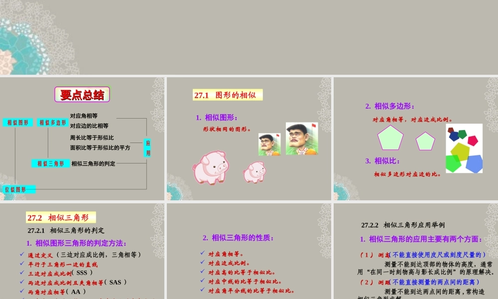 山东省东营市七年级数学(相似)复习课件  人教新课标版 课件