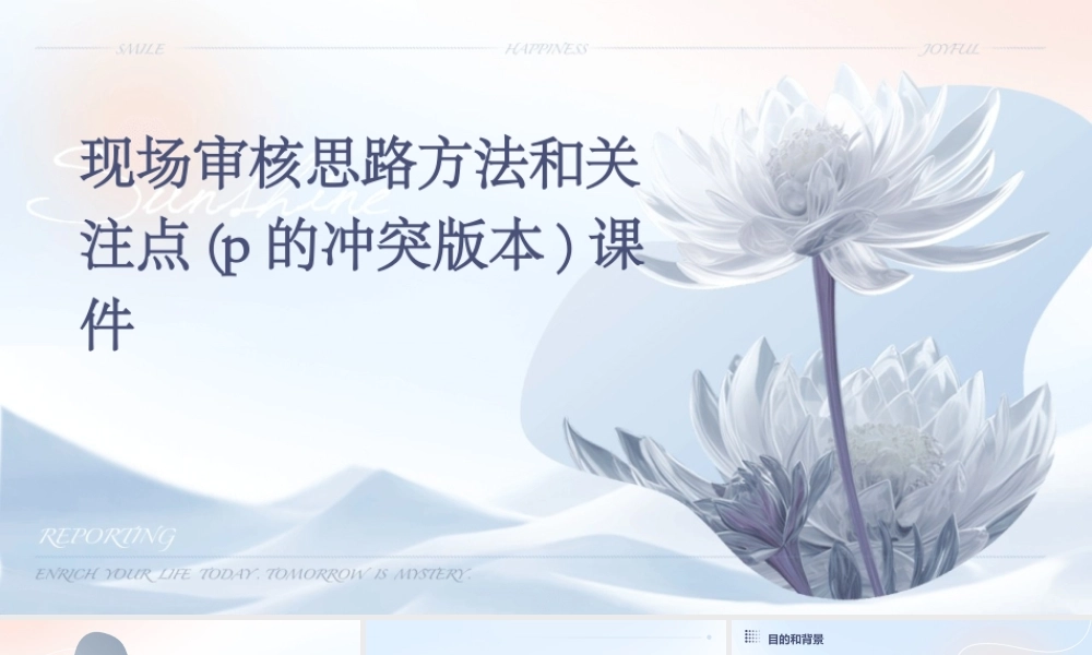 现场审核思路方法和关注点(P的冲突版本)课件