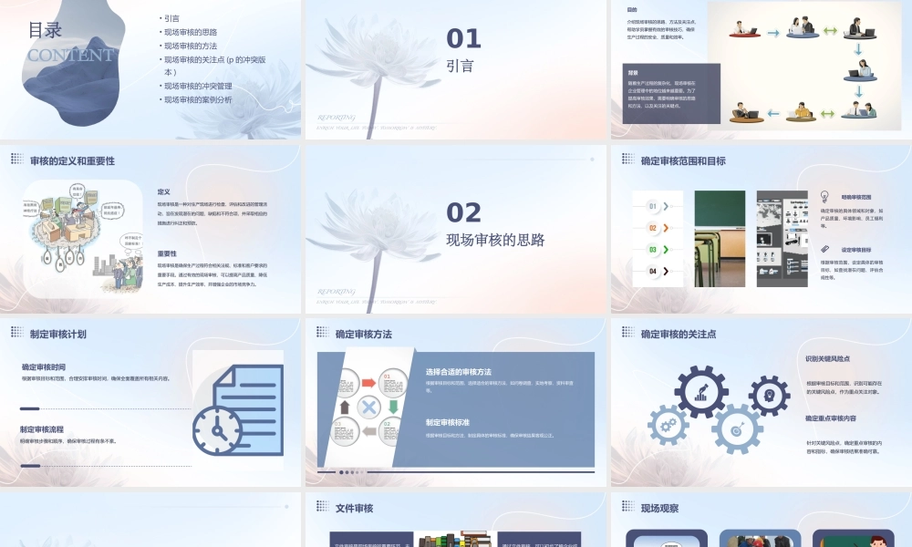 现场审核思路方法和关注点(P的冲突版本)课件