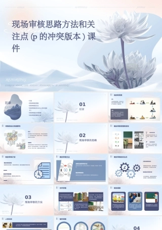 现场审核思路方法和关注点(P的冲突版本)课件