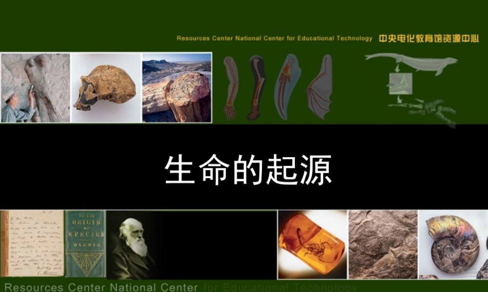八年级生物新课标人教版地球上生命的起源ppt00 课件