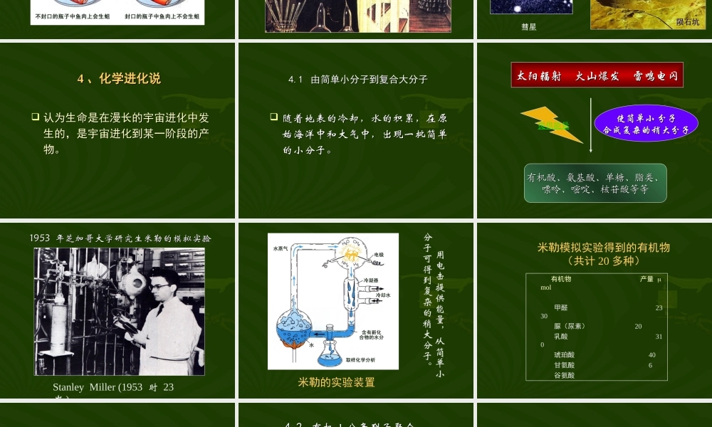 八年级生物新课标人教版地球上生命的起源ppt00 课件