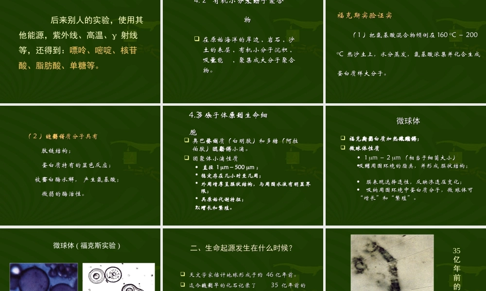 八年级生物新课标人教版地球上生命的起源ppt00 课件