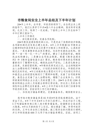 市粮食局安全上半年总结及下半年计划