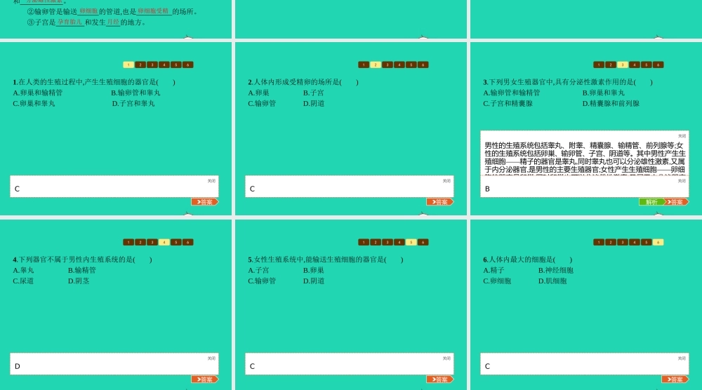 八年级生物上册 第四单元 第三章 第一节 婴儿的诞生(第1课时 生殖系统的组成和受精作用)课件 (新版)济南版 课件