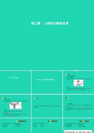 八年级生物上册 第四单元 第三章 第一节 婴儿的诞生(第1课时 生殖系统的组成和受精作用)课件 (新版)济南版 课件