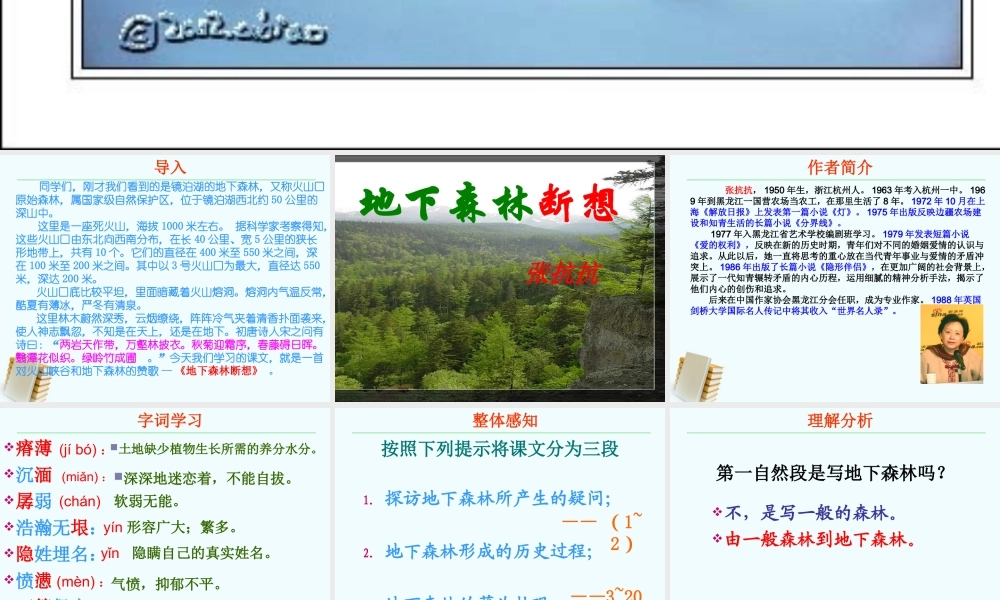 九年级语文上册 28(地下森林断想)课件 鲁教版 课件