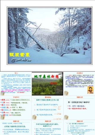 九年级语文上册 28(地下森林断想)课件 鲁教版 课件