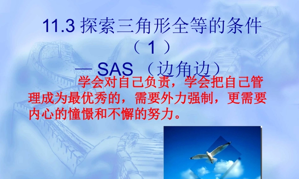 九年级数学边角边课件北师大版 课件