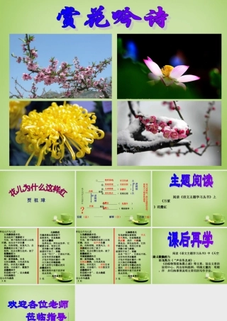 八年级语文下册 3.15 花儿为什么这样红课件 苏教版 课件