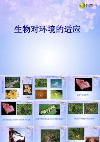 中学七年级生物上册 1.2.3 生物对环境的适应和影响课件1 新人教版 课件
