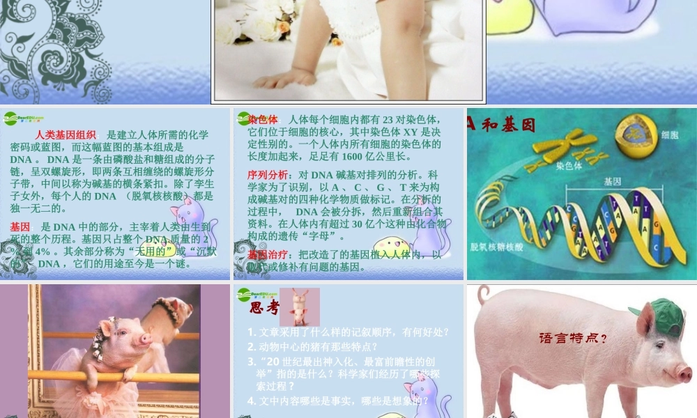 七年级语文上册 19.基因畅想 课件 语文版 课件