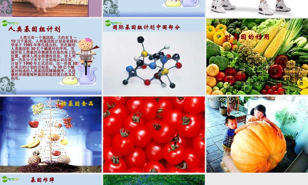 七年级语文上册 19.基因畅想 课件 语文版 课件