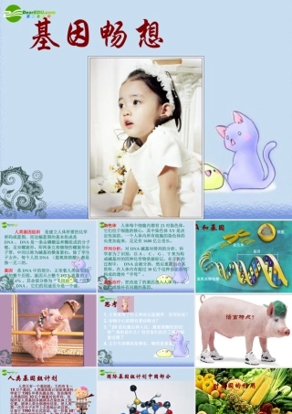 七年级语文上册 19.基因畅想 课件 语文版 课件