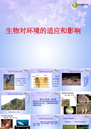 中学七年级生物上册 1.2.3 生物对环境的适应和影响课件3 新人教版 课件