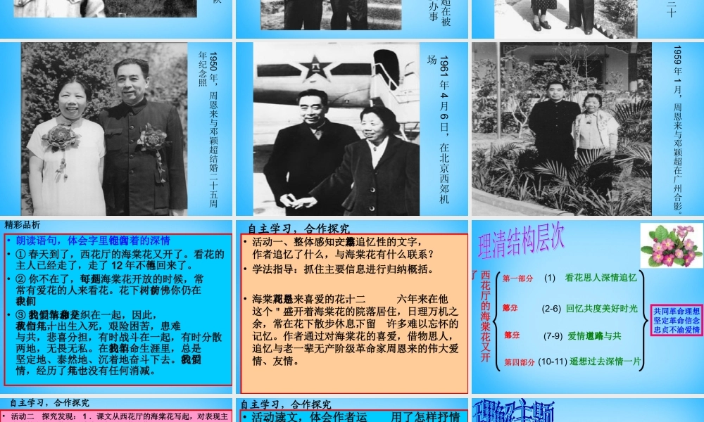 九年级语文上册 3(西花厅的海棠花又开了)课件1 语文版 课件