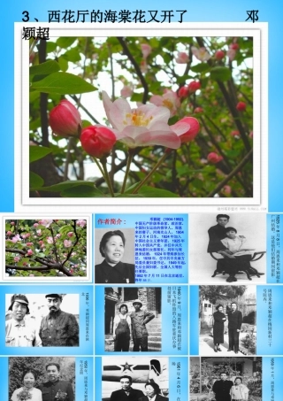 九年级语文上册 3(西花厅的海棠花又开了)课件1 语文版 课件