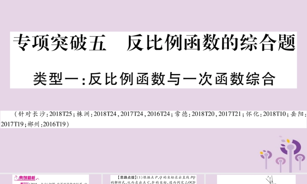 中考数学复习 第二轮 中档题突破 专项突破5 反比例函数的综合题导学课件