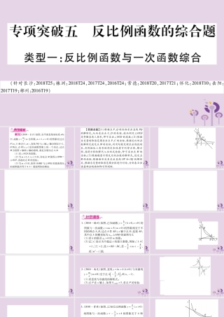 中考数学复习 第二轮 中档题突破 专项突破5 反比例函数的综合题导学课件