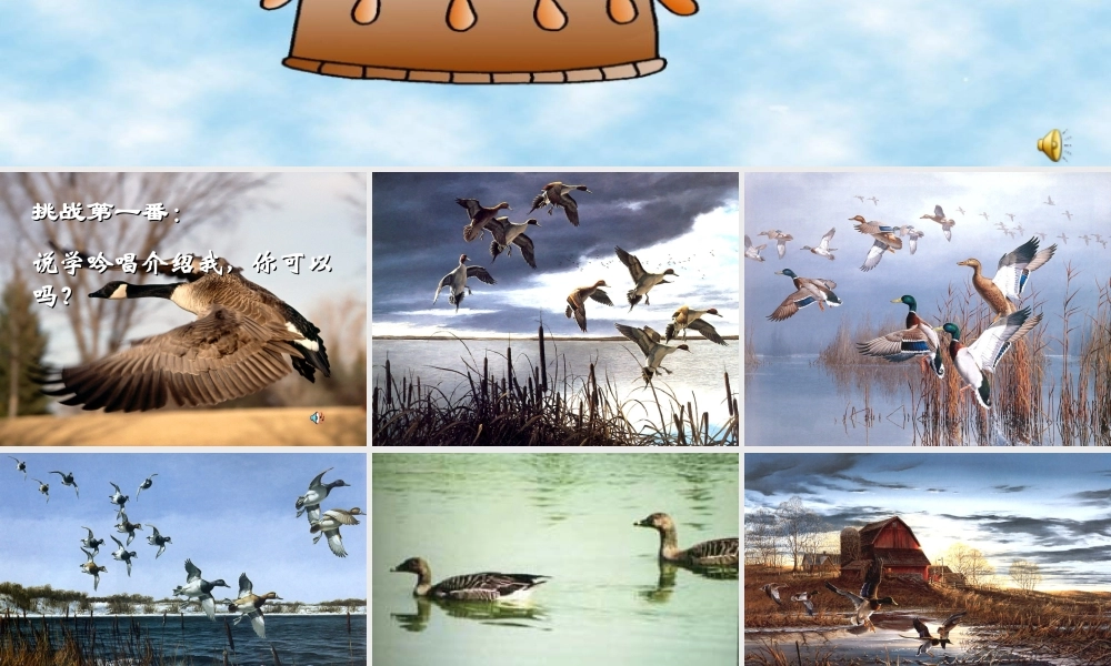 八年级语文下册 (大雁归来)教学课件 人教新课标版 课件