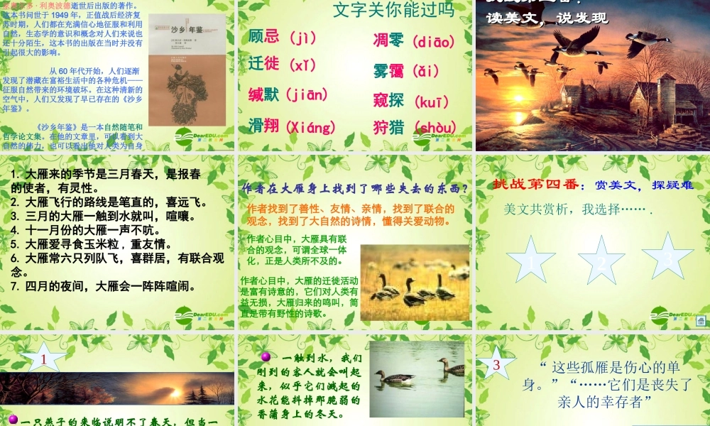 八年级语文下册 (大雁归来)教学课件 人教新课标版 课件