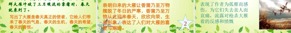 八年级语文下册 (大雁归来)教学课件 人教新课标版 课件