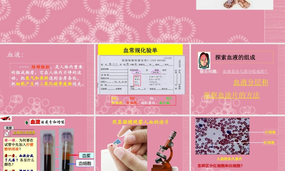 七年级生物下册 流动的组织—血液课件 新人教版 课件