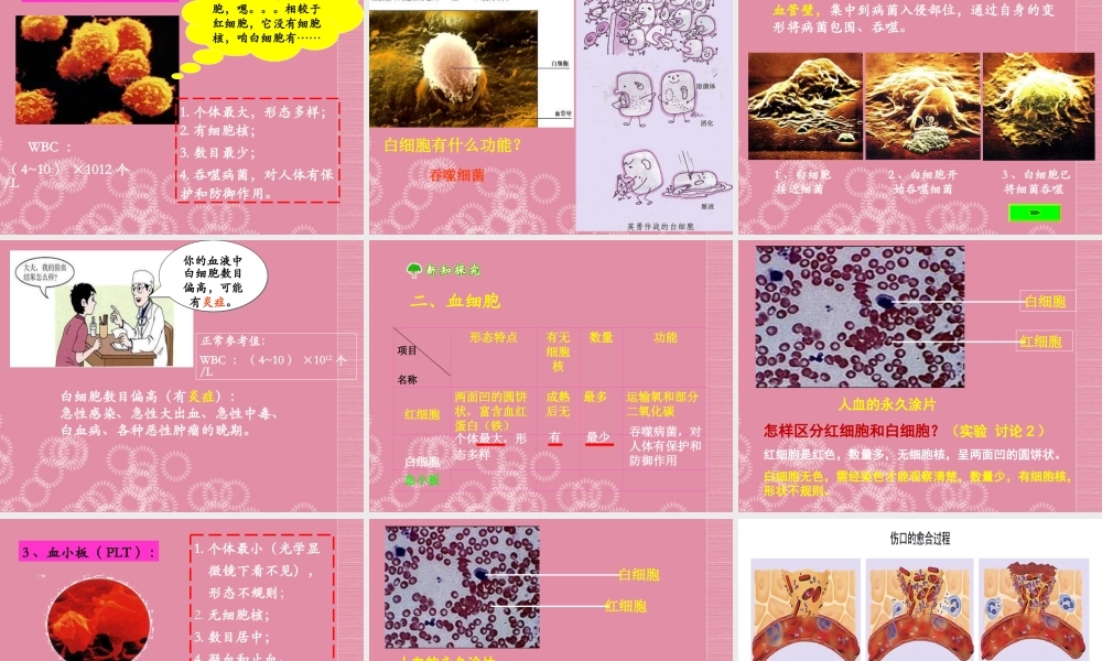 七年级生物下册 流动的组织—血液课件 新人教版 课件