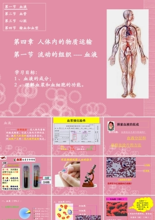 七年级生物下册 流动的组织—血液课件 新人教版 课件