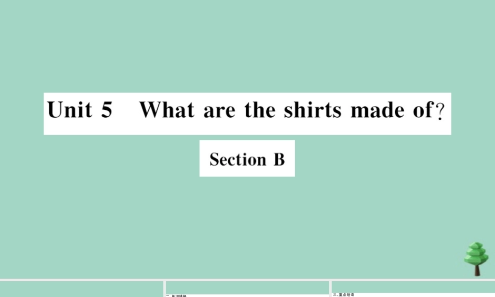 九年级英语全册 Unit 5 What are the shirts made of Section B(小册子)作业课件 (新版)人教新目标版 课件