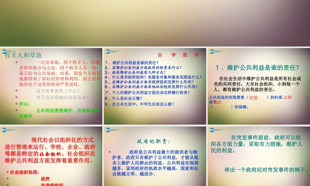 八年级政治下册 第六课 公共利益的维护课件 教科版 课件