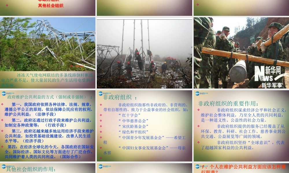 八年级政治下册 第六课 公共利益的维护课件 教科版 课件