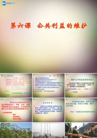 八年级政治下册 第六课 公共利益的维护课件 教科版 课件