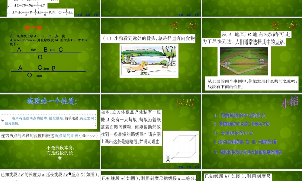 中学七年级数学上册(7.4 角和角的度量)课件 浙教版 课件