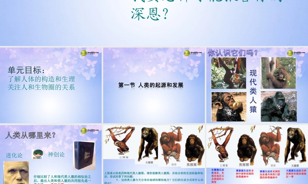 八年级生物上册 第一章 人类的起源和发展课件 鲁科版 课件